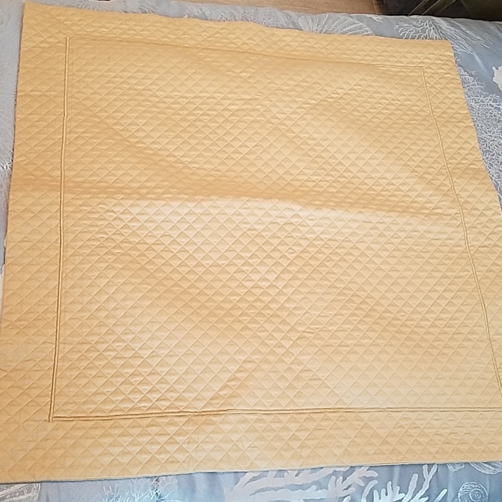 Cottimaryanne Gold Euro Sham